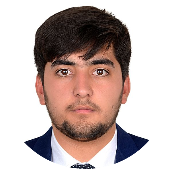 Portrait of Hanifullah Jamlzai